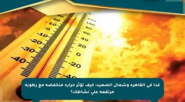 غدا في القاهرة وشمال الصعيد: كيف تؤثر حرارة منخفضة مع رطوبة مرتفعة على نشاطك؟